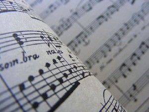 biblioteca 257 copy.jpg